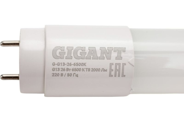 фото Лампа светодиодная Gigant G-G13-26-6500K в Волгограде