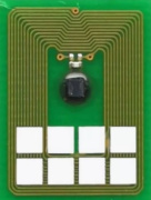 фото Запчасть ELP ELP-CH-OMC873M-DRUM