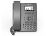 фото Телефон VoiceIP Flying Voice P10G