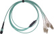 фото Кабель  Optiset C-MPO-4xLC-OM3-8F-2M в Уфе