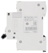 фото Автоматический выключатель Systeme Electric C9F14210
