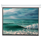 фото Экран Viewscreen Antis EAN-16101