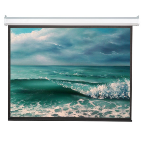 фото Экран  Viewscreen Antis EAN-4304 в Омске