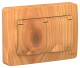 фото Розетка  Systeme Electric BLNRS441125 в Санкт-Петербургe