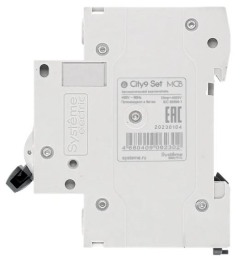 фото Автоматический выключатель  Systeme Electric C9F34240 в Перми