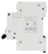 фото Автоматический выключатель Systeme Electric C9F34420