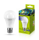 фото Лампа светодиодная ERGOLUX LED-A60-17W-E27-6K в Перми