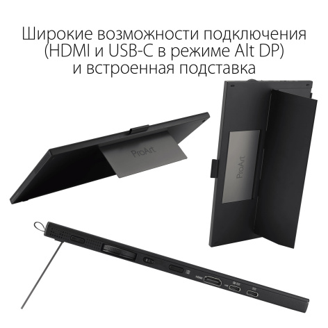 фото Монитор 15,6" ASUS ProArt PA169CDV в Ростове-на-Дону