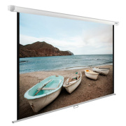 фото Экран Cactus CS-PSWE-220X138-WT