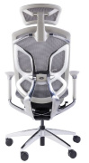фото Кресло GT Chair Dvary X