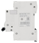 фото Автоматический выключатель Systeme Electric C9F34232