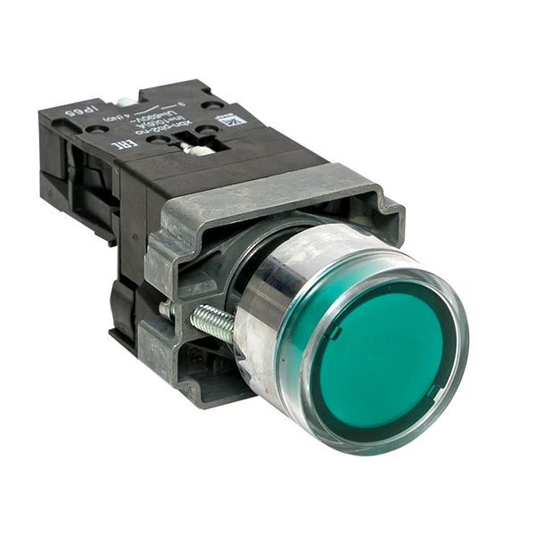 

Кнопка EKF xb2-bw31-230-65 BA31 с подсветкой 230В зеленая NO IP65, xb2-bw31-230-65