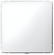 Изображение товара Заглушка Systeme Electric GAL000109