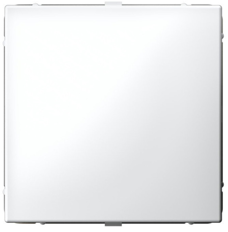 Изображение товара Заглушка Systeme Electric GAL000109