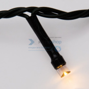 фото Гирлянда NEON-NIGHT 303-026