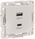 фото Розетка  EKF EYR-2USB-type-C в Самаре