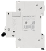 фото Автоматический выключатель Systeme Electric C9F14350
