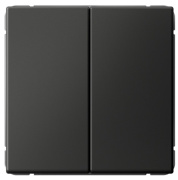 фото Выключатель двухклавишный Systeme Electric GAL001451S
