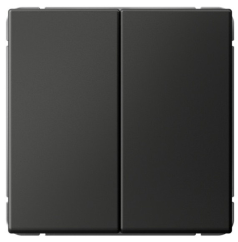 фото Выключатель двухклавишный  Systeme Electric GAL001451S в Красноярске