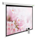 фото Экран  Cactus CS-PSME-240X240-WT в Челябинске