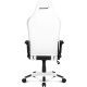 фото Кресло игровое AKRacing ARCTICA-WHITE в Волгограде