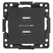 фото Розетка USB двухместная EKF EZR16-028-10-2USB