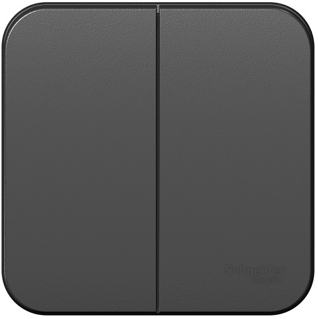

Выключатель Schneider Electric BLNVA105016 2-клавишный 10А, 250B, изолир. пластина Антрацит наруж, BLNVA105016
