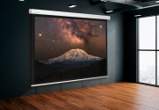 фото Экран Cactus CS-PSM-124X221