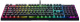 фото Клавиатура  Razer BlackWidow V4 X в Екатеринбурге