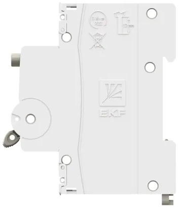 фото Автомат дифференциальный EKF D63N46ES40C100 в Санкт-Петербургe