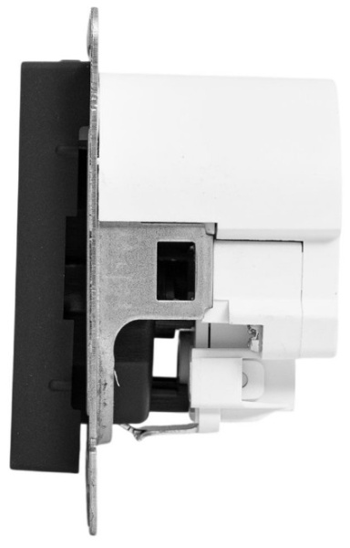 фото Розетка с заземлением с 2 USB  EKF UP1-SOB-111-2USBC в Воронеже