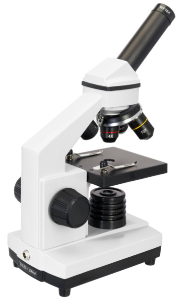 фото Микроскоп  Levenhuk Rainbow 2L PLUS в Санкт-Петербургe