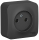 фото Розетка  Systeme Electric BLNRA000106 в Красноярске