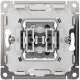 фото Выключатель двухклавишный  Systeme Electric GAL001219S в Красноярске