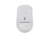 фото Мышь A4Tech Fstyler FG12