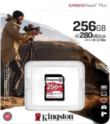 фото Карта памяти Kingston SDR2V6/256GB