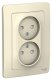 фото Розетка  Systeme Electric BLNRS000122 в Санкт-Петербургe