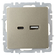 фото Розетка USB IEK BR-U22-018-K37