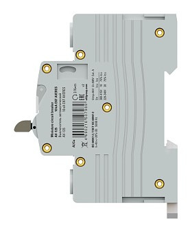 фото Автоматический выключатель  EKF mcb125-1-100C-av в Красноярске