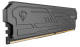 фото Оперативная память DDR4 (1×8 ГБ) Netac NTSHD4P36SP-08K, 3600 МГц, [NTSHD4P36SP-08K] в Екатеринбурге