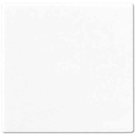 Изображение товара Клавиша Jung A590WW накладка для выключателя серия A 500 вертикальная