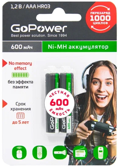 фото Аккумулятор  GoPower 00-00015315 в Казани