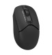 фото Мышь wireless A4Tech FB12S USB BLACK