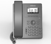 фото Телефон VoiceIP Flying Voice P10P