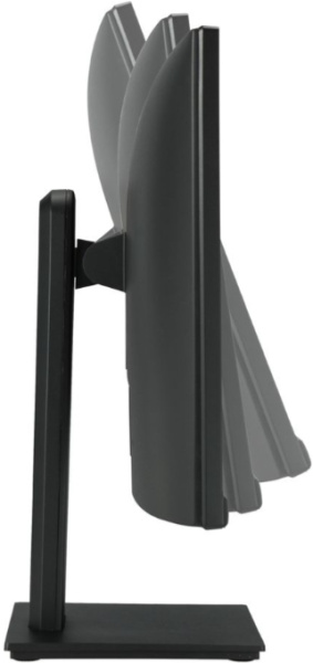 фото Монитор 29" ASUS VP299CL