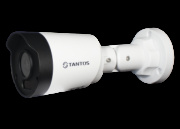 фото Видеокамера Tantos TSi-Peco45FP