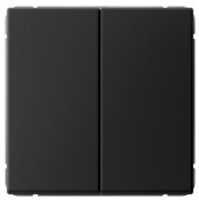 фото Выключатель двухклавишный Systeme Electric GAL001017S