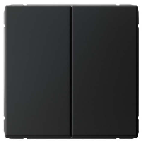 фото Выключатель двухклавишный  Systeme Electric GAL001017S в Красноярске