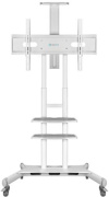 фото Стойка ONKRON TS1881