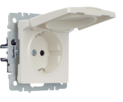 фото Розетка с заземлением IEK BR-R16-16-K36